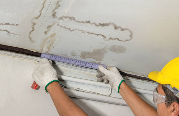 Reliable Water Damage contractor in Brush, CO by Water Damage Irwin